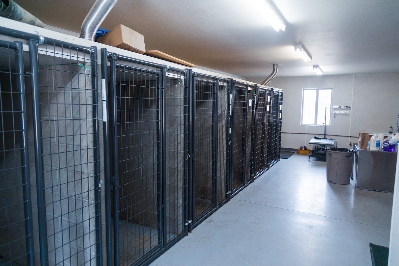 About Us Greybull River Veterinary Service