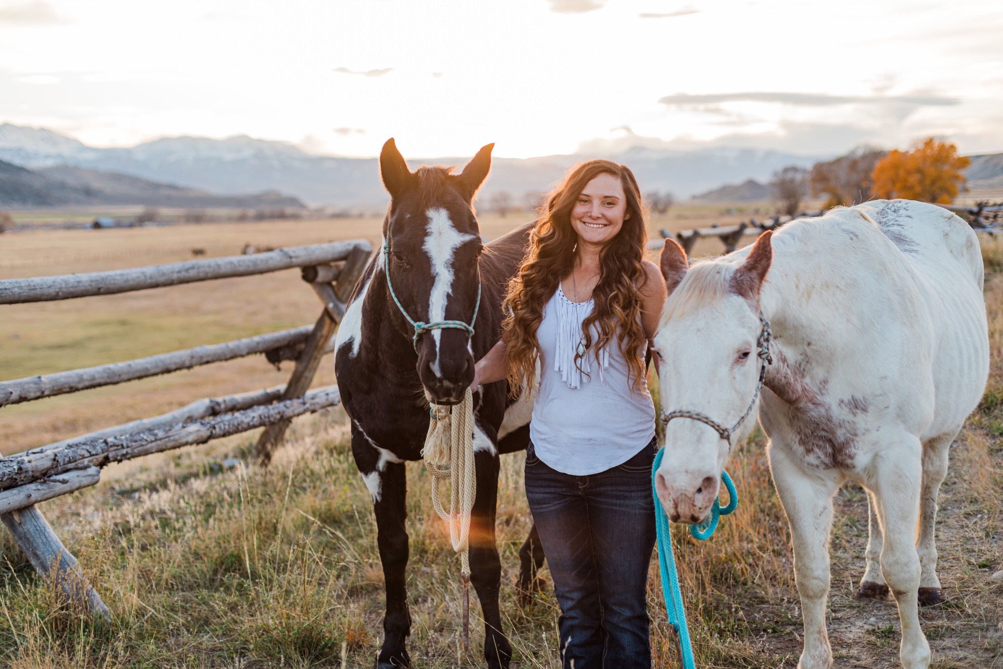 Our Team Greybull River Veterinary Service